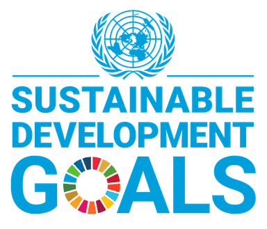 UN SDGs